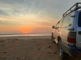 IMG-20221121-WA0091