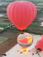 IMG_20221117_060626