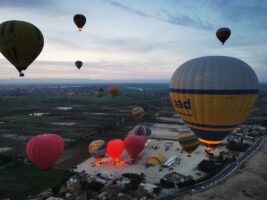 IMG_20221117_060902